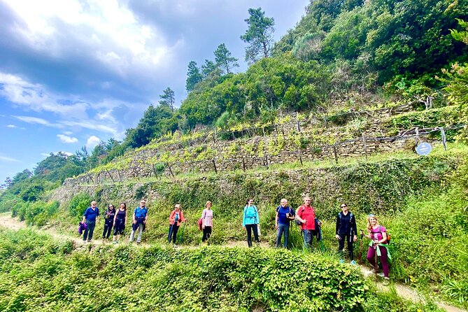 Cinque Terre Unforgettable Hiking Experience - Frequently Asked Questions
