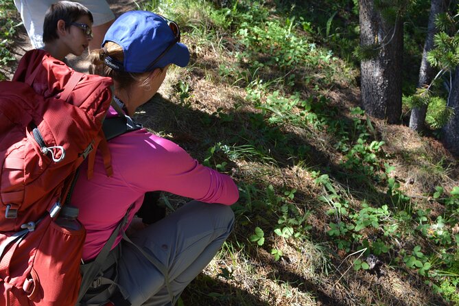 Classic Yellowstone Hike to the Shores of Lake Shoshone (Private up to 8 People) - Frequently Asked Questions