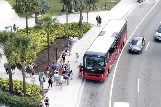 Clearwater Beach Bus Express - Pricing and Booking Information
