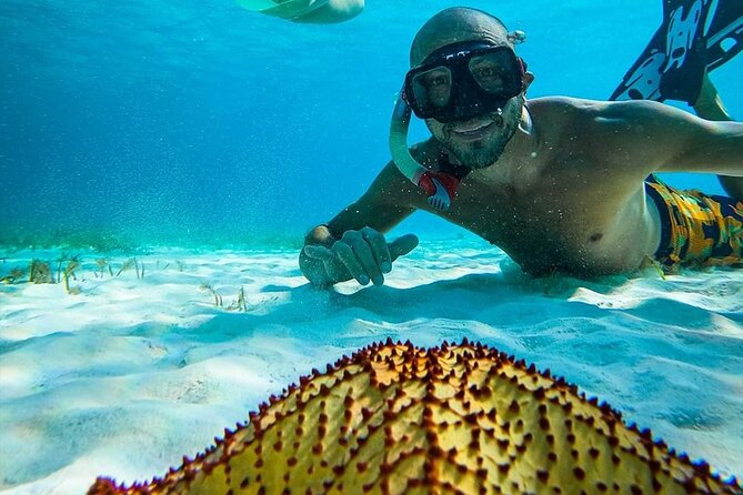 Columbia , Palancar & Cielo Snorkel Tour - Frequently Asked Questions