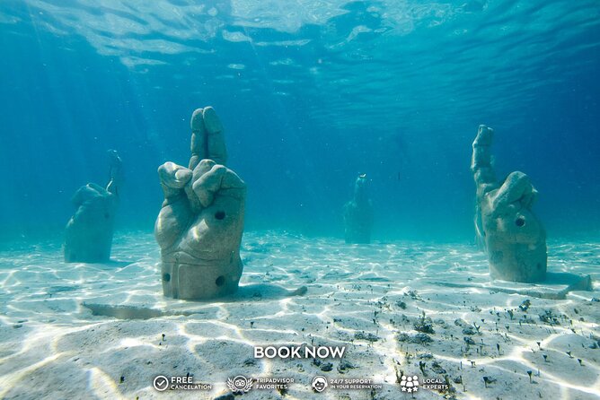 Coral Reef Snorkeling Expedition From Cancun With Beachside Lunch - Transportation and Accessibility