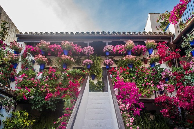 Cordobas Authentic Patios: 2-Hour Tour With Tickets - Recommendations for Improvement