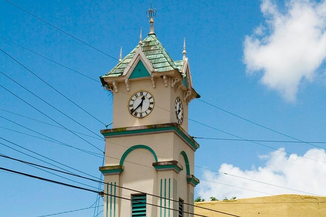 Country Side and Sight Seeing With Dunns River Falls - Customized Tour Experience