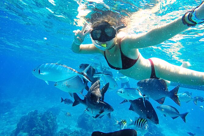 Cozumel Day Pass at San Francisco Beach Club - Frequently Asked Questions