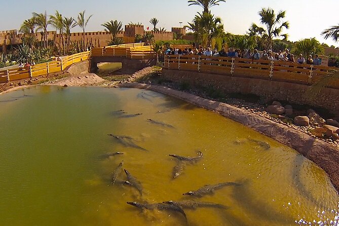 Crocoparc Tour From Agadir & Taghazout + Tickets - Booking Your Tickets