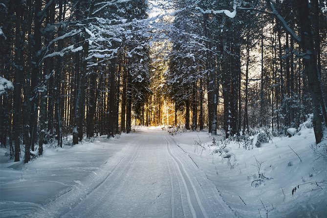 Cross-Country Skiing Guided Tour From Prague - Scenic Transport and Dining
