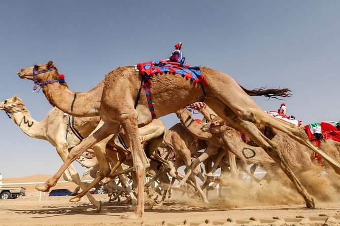 Cultural & Thrills: Sheikh Faisal Museum & Camel Race Adventure - Guest Reviews and Feedback