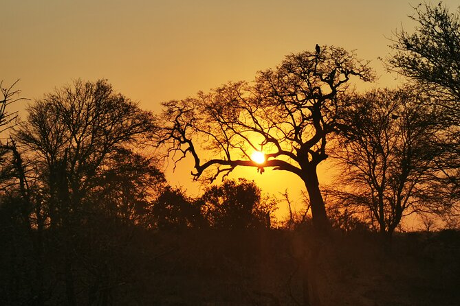 Cycling in a Forest Close to Johannesburg and Pretoria - Visiting the Post-Ride Restaurant