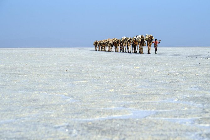 Danakil 3 Days Tour - Health Considerations