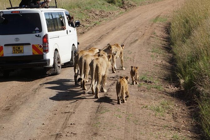 Day Tour to Nairobi National Park and Giraffe Center - Traveler Reviews and Ratings