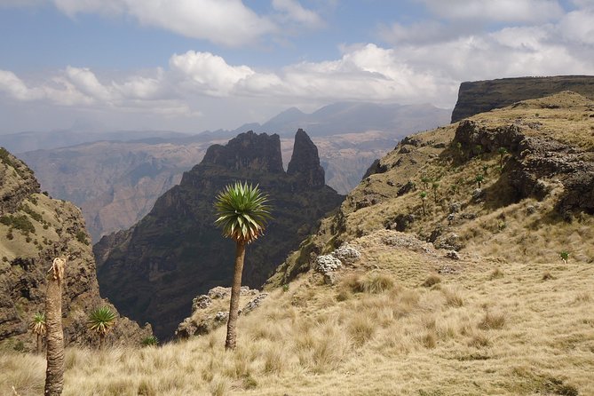 Day Trek to Simeien Mountains - Frequently Asked Questions