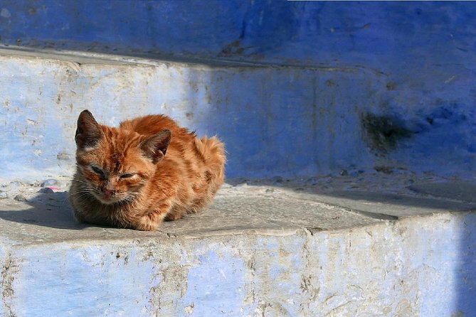 Day Trip From Fes to Chefchaouen - Additional Travel Considerations
