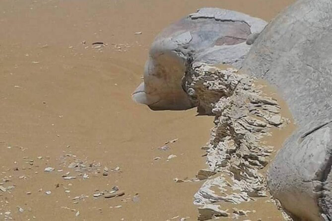 Day Trip To Bahariya Oasis Visit Black And White Desert From Cairo - Booking and Cancellation Policy