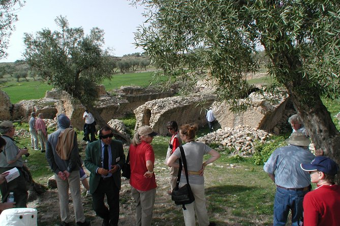 DAY TRIP TO Dougga & Bulla Regia , DEPARTURE FROM Tunis - Frequently Asked Questions