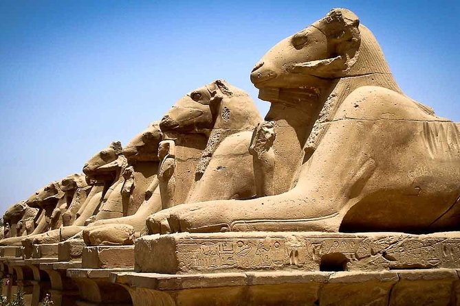 Day Trip To Luxor From Soma Bay - Tips for a Successful Trip