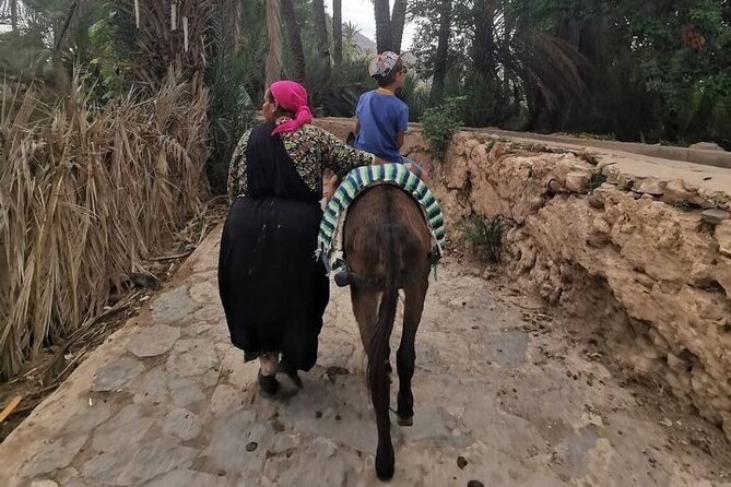 Day Trip to Taroudant and Tiout Oasis With Lunch From Agadir - Frequently Asked Questions