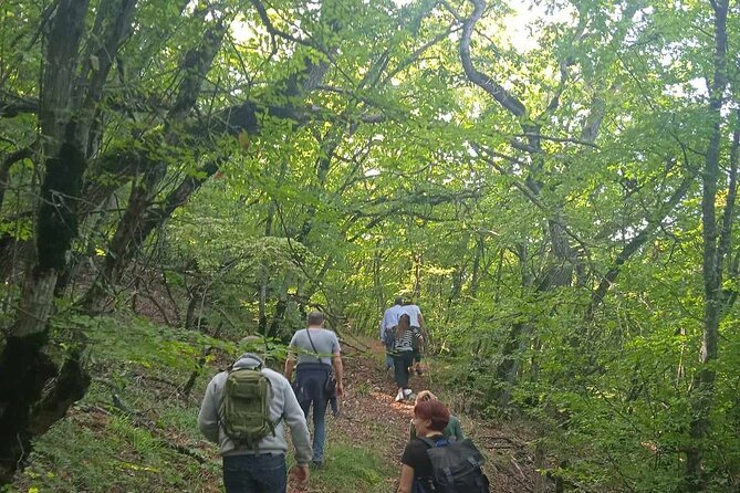 Day Walking Tour in Vashlovani Prot. Area(Eagle Gorge)with Lunch - Pricing and Payment Options