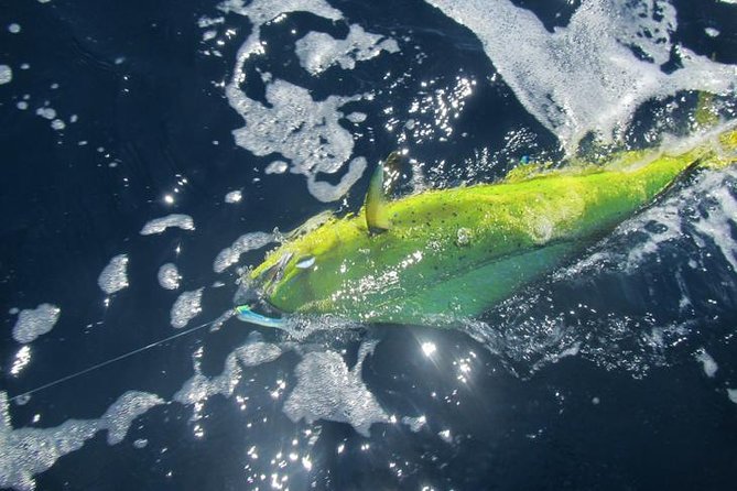 Deep Sea Fishing for 5 Hours From Cabo San Lucas - Transportation Options