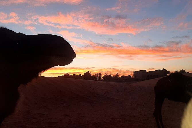 Desert Camp & Erg Chebbi - Meeting the Nomadic Desert Dwellers