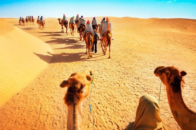 Desert Safari and Dhow Cruise Dinner Marina (Limited Offer) - Customer Reviews and Feedback