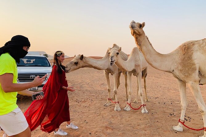 Desert Safari, Open Desert Quad Bike Experience With BBQ Dinner - Pricing and Cancellation Policy