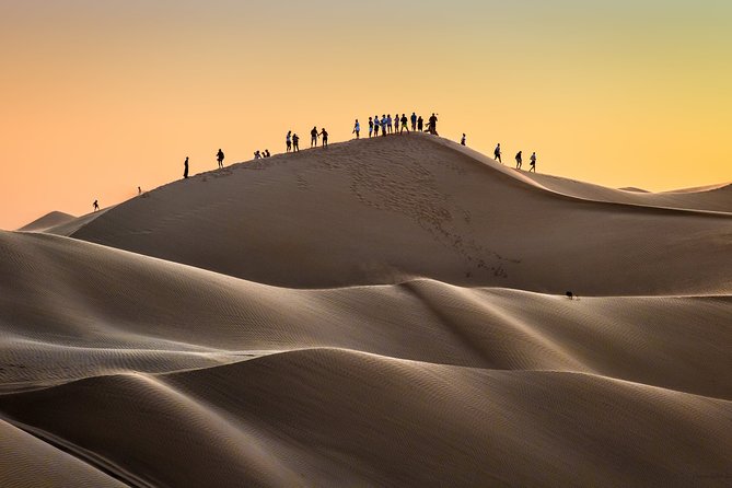 Desert Safari Trip Full Day & Ubar Lost City - Traveler Feedback and Ratings