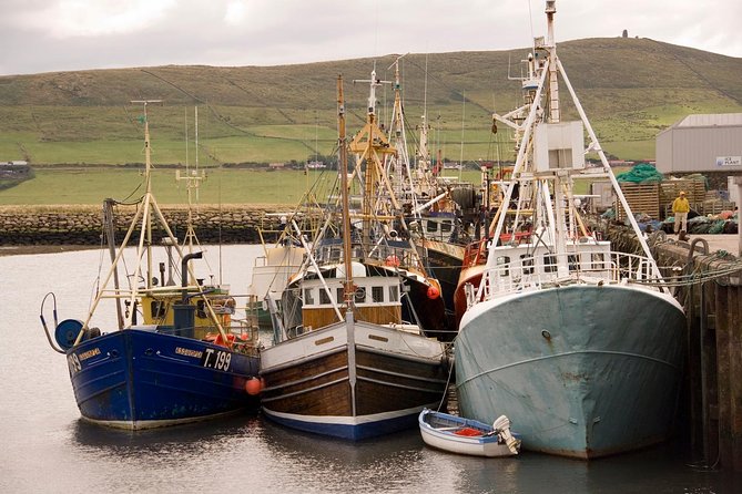 Dingle Peninsula Day Tour From Killarney: Including the Wild Altanic Way - Scenic Stops and Locations