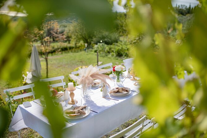 Dinner in the Vineyard French Riviera - Dine in the French Riviera