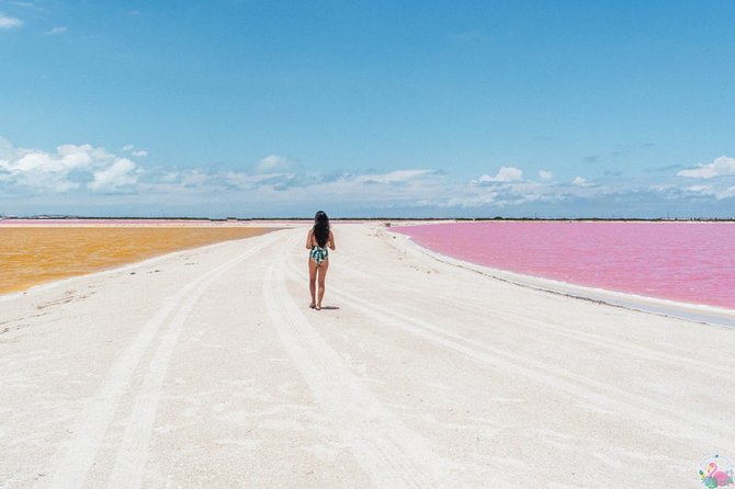 Discover the FABULOUS PINK WATERS in the Caribean (Las Coloradas+Río Lagartos) - Traveler Recommendations