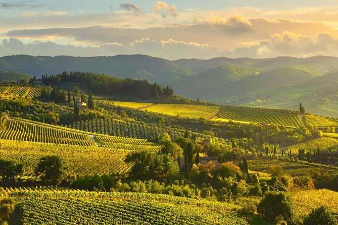 Discovering Chianti: Sunset Ebike Tour Review - Since You Asked