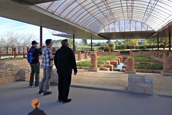 Discovering the Roman Ruins of Conímbriga and the Caves of Sicó - Tour Inclusions and Duration