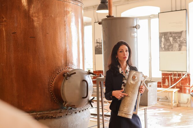 Discovery Day of Scents to Grasse Saint-Paul-De-Vence From Nice - Reviews and Ratings