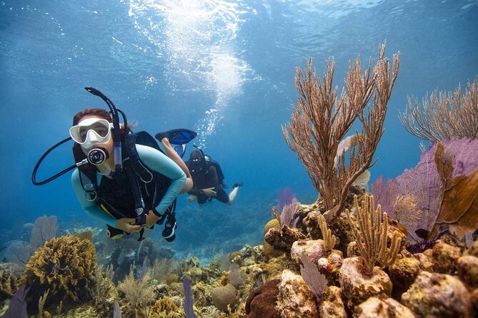 Diving And Snorkeling To Ras Mohamed And White Island By VIP Boat - Flexible Booking and Cancellation Policy