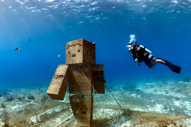 Diving For People Without Experience - Reviews Summary