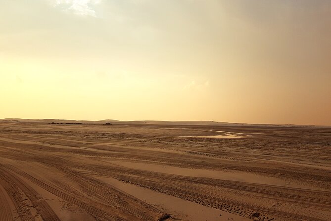 Doha: Sunrise /Sunset Desert Safari With Sand Boarding,Camel Ride - Customer Reviews and Ratings