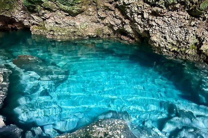 Dolphin Tour; Kuza Cave Tour; Paje Beach; The Rock Restaurant; Jozani Forest - Accessibility Features