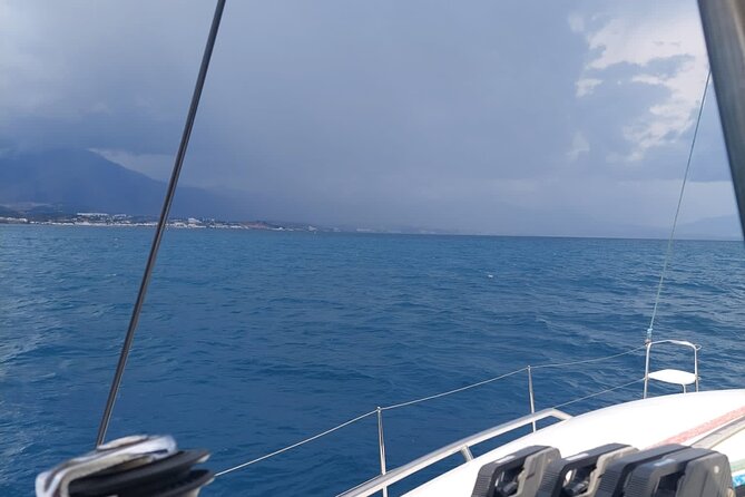 Dolphin Trips on a Catamaran - Accessibility and Inclusivity