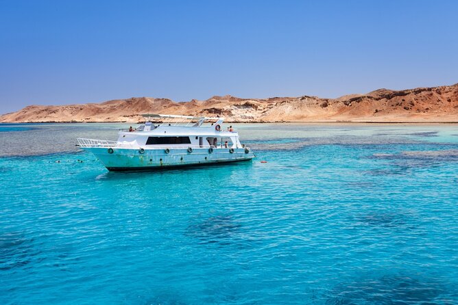 Dolphins House Sea Hero of Egypt Snorkeling &Water Activities - Lasting Memories From the Trip