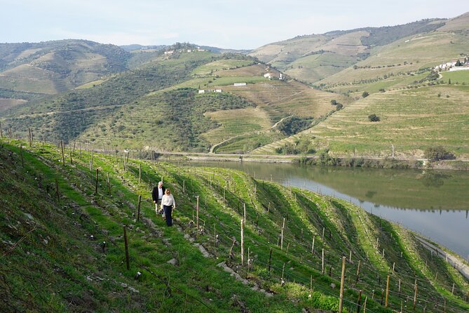Douro Valley Private Tour With Wine Tasting and Boat Tour - Boat Tour on the Douro River