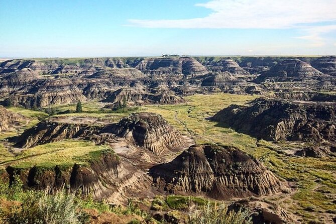Drumheller (Dinosaur Valley) & Horseshoe Canyon 1-Day Tour - Taking in the Badlands
