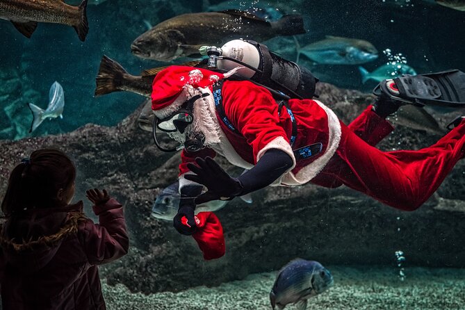 Dubai Aquarium and Underwater Zoo Ticket - Frequently Asked Questions