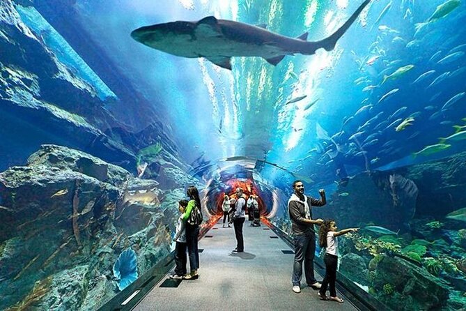 Dubai Aquarium and Underwater Zoo With Penguin Cove Tickets. - Tips for Your Visit