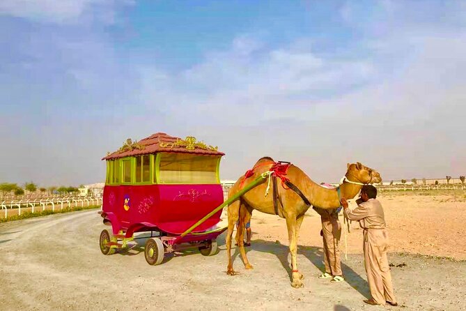 Dubai Royal Camel Race With Prime Seats & Short Camel Ride - Additional Activities Offered