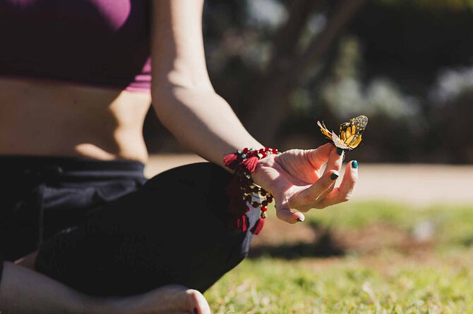 Dubai: Skip-The-Line Ticket to Butterfly Garden - Why Visit the Butterfly Garden
