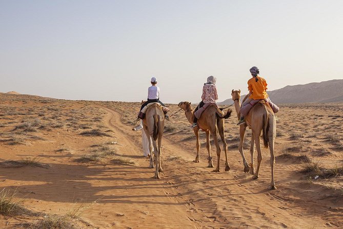 Dubai Sunset Camel Trekking With Shows & BBQ Dinner - Booking and Contact Information
