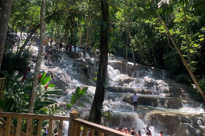 Dunns River Falls, Zipline Adventure From Kingston - Ziplining Adventure
