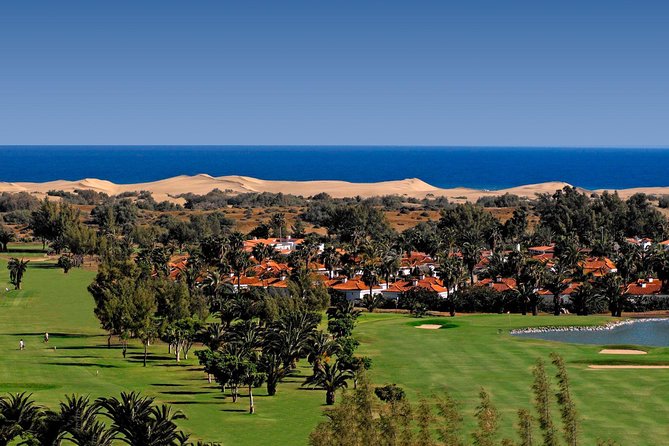 E-Bike City Tour Optional Camel Safari on the Maspalomas Dunes - Ask Away
