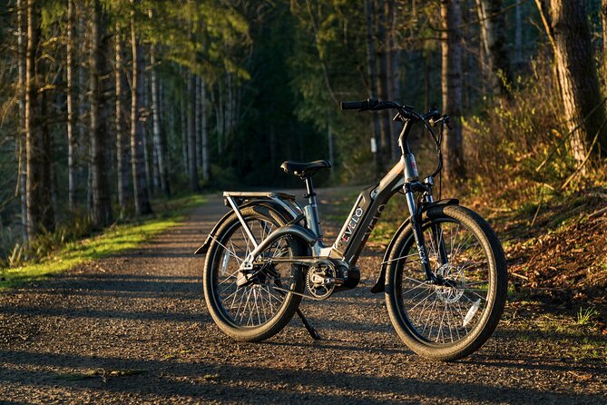 E-Scooter - E-Bike - Quadracycle - Bikes - Kick Scooter - Customer Support Services