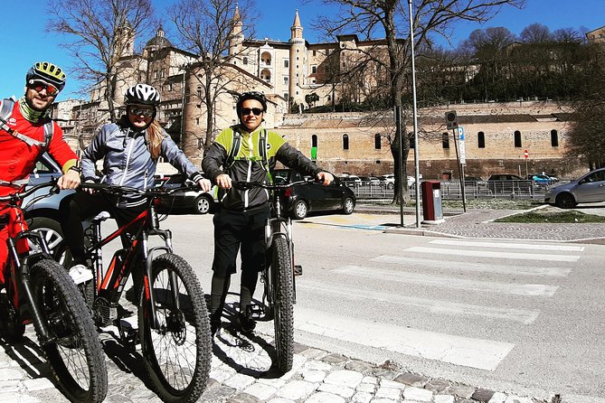 EBIKE Tour With Organic Wine Tasting - What to Expect