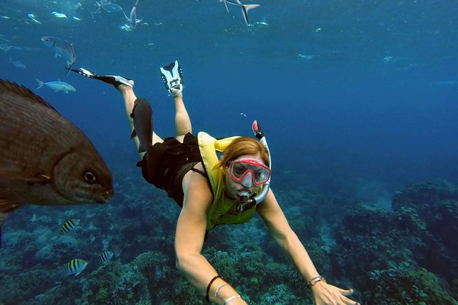 El Cielo Snorkel by Private Boat - Traveler Feedback